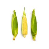 Yellow Corn