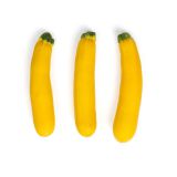 Holland Gold Bar Squash