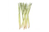 Lemongrass