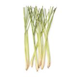 Lemongrass