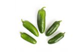 Jalapeno Peppers