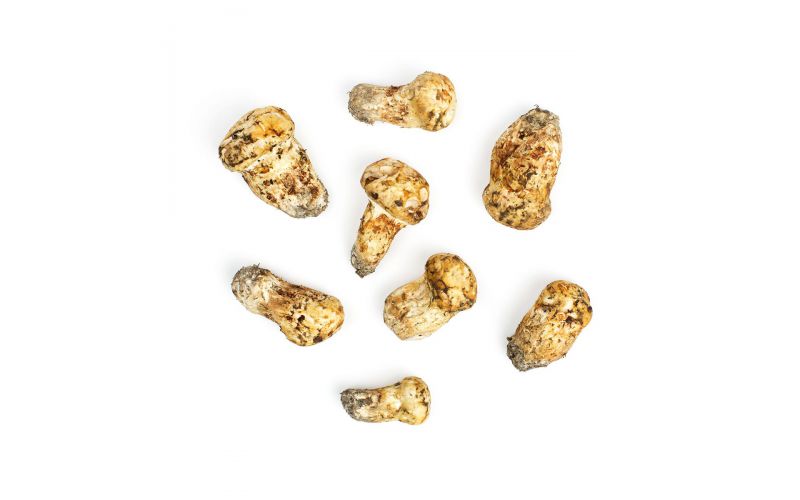 #1 Grade Matsutake Mushrooms