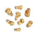 #1 Grade Matsutake Mushrooms