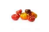 Organic Heirloom Tomatoes