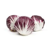 Radicchio
