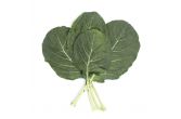 Collard Greens