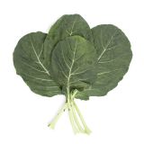 Collard Greens