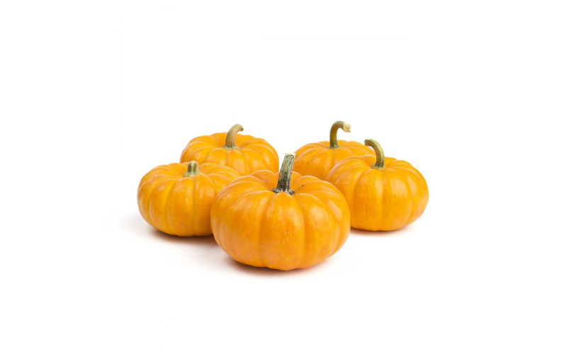 Mini Pumpkins