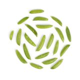 Sugar Snap Peas