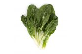 Green Swiss Chard
