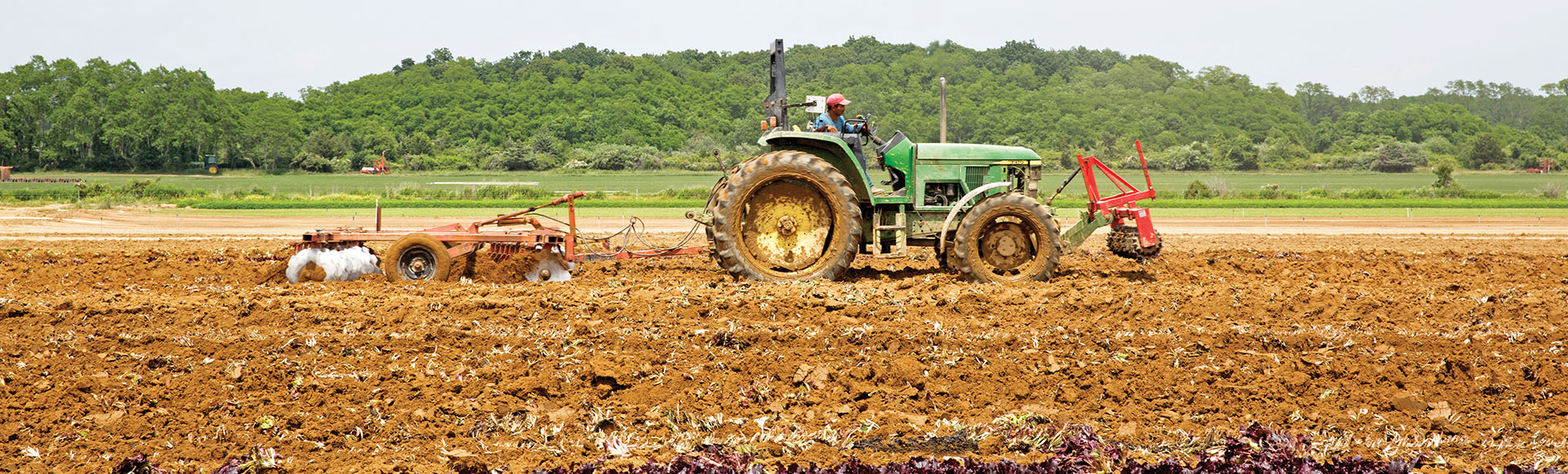 Satur Farms